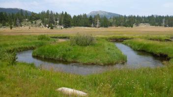 Lower Transect Overview (right to left)