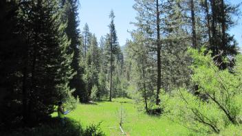 Lower Transect Overview (right to left)