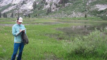 Lower Transect Overview (right to left)