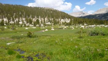 Lower Transect Overview (right to left)