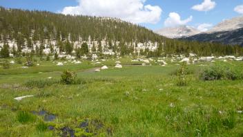 Lower Transect Overview (right to left)