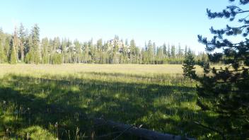 Lower Transect Overview (right to left)