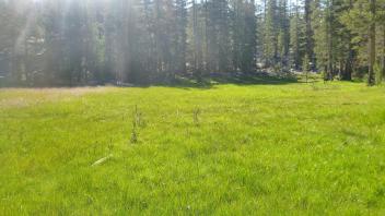 Lower Transect Overview (right to left)