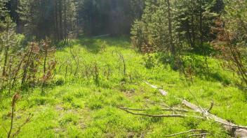 Lower Transect Overview (right to left)