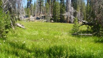 Lower Transect Overview (right to left)