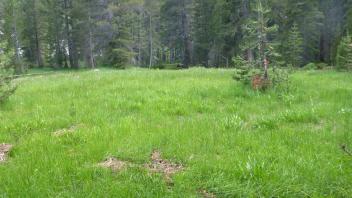 Lower Transect Overview (right to left)