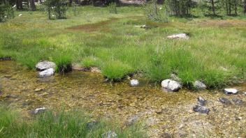 Lower Transect Right to Left Channel Across