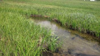 Lower Transect Right to Left Channel Across
