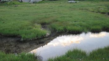 Lower Transect Right to Left Channel Across