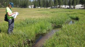 Lower Transect Right to Left Downstream