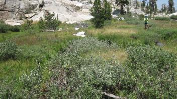 Lower Transect Right to Left Downstream