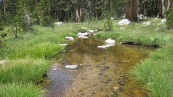 Lower Transect Right to Left Downstream