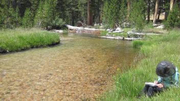 Lower Transect Right to Left Downstream