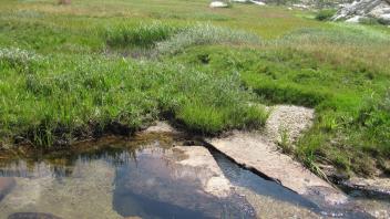 Lower Transect Right to Left Downstream