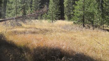 Lower Transect Right to Left Overview