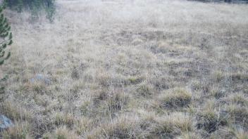 Lower Transect Right to Left Overview