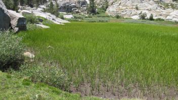 Lower Transect Right to Left Overview