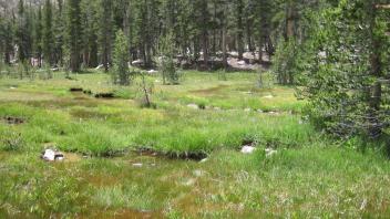 Lower Transect Right to Left Overview