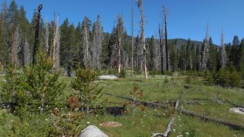 Lower Transect Right to Left Overview