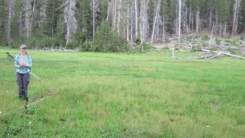 Lower Transect Right to Left Overview