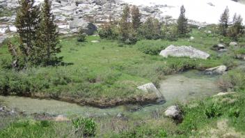Lower Transect Right to Left Overview