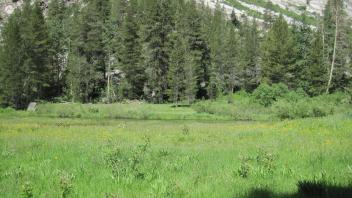 Lower Transect Right to Left Overview