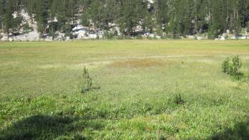 Lower Transect Right to Left Overview