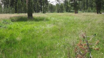 Lower Transect Right to Left Overview