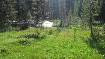 Lower Transect Right to Left Overview