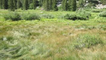 Lower Transect Right to Left Overview