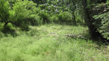 Lower Transect Right to Left Overview