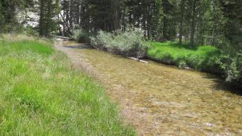 Lower Transect Right to Left Upstream