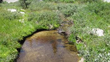 Lower Transect Right to Left Upstream