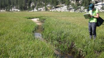 Lower Transect Right to Left Upstream