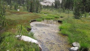 Lower Transect Right to Left Upstream