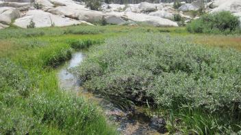Lower Transect Right to Left Upstream