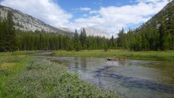 Lower Transect Upstream