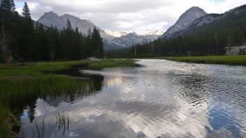 Lower Transect Upstream