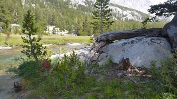 Lower Transect Upstream