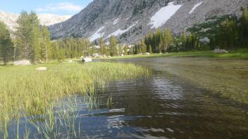 Lower Transect Upstream