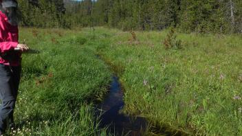 Lower Transect Upstream