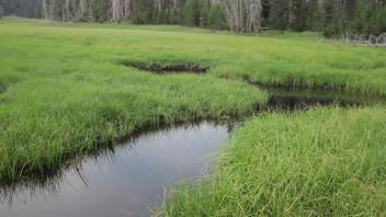 Lower Transect Upstream