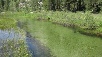 Lower Transect Upstream