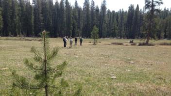 Lower transect (river right)