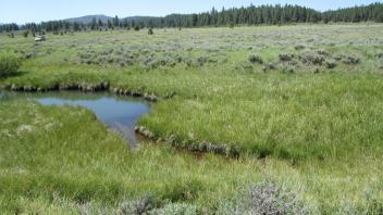 Lower transect channel, left bank to right