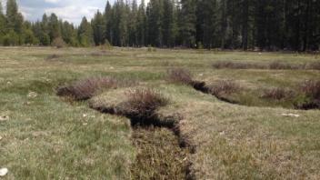 Lower transect, second channel (downstream)