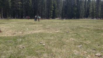 Lower transect, second channel (river right)