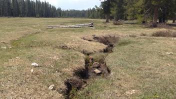 Lower transect, second channel (upstream)