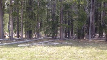 Lower transect, third channel (river right)