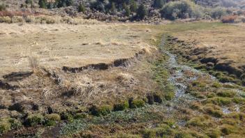 Lower vegetation transect - left to right of channel